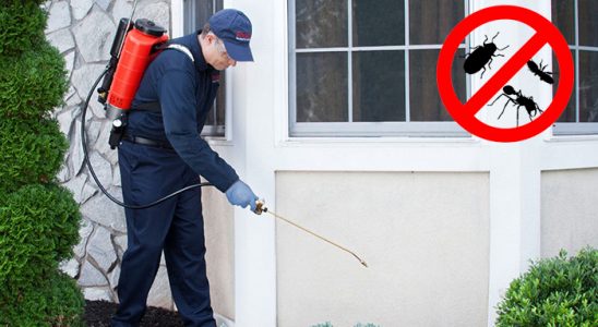 Eceabat Gümüşkurt İlaçlama böcek ilaçlama ve haşere kontrolü — ilaclama-tr.com
